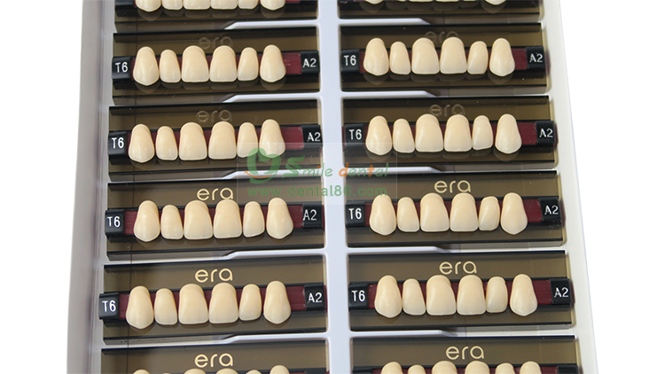 Three Layer Acrylic Resin Teeth